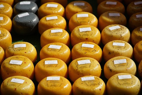 Découvrez des fromages biologiques artisanaux uniques en France